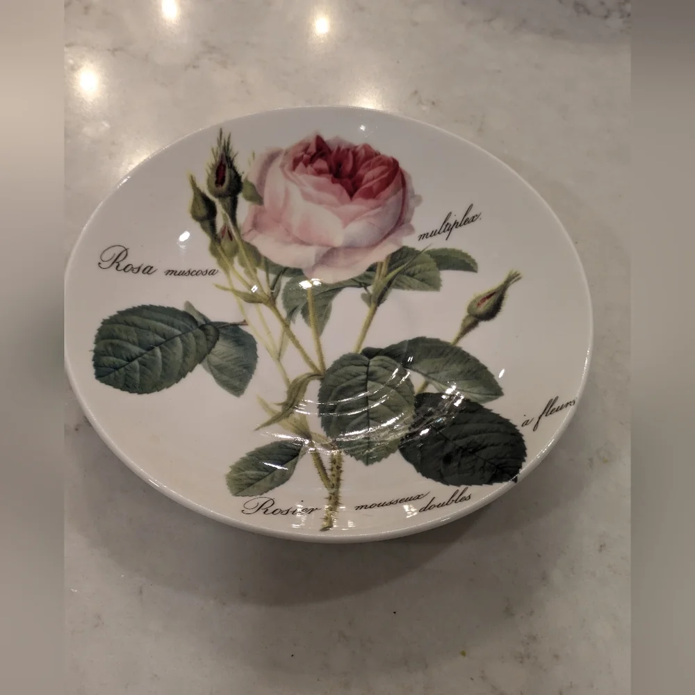 N/A redoute rose